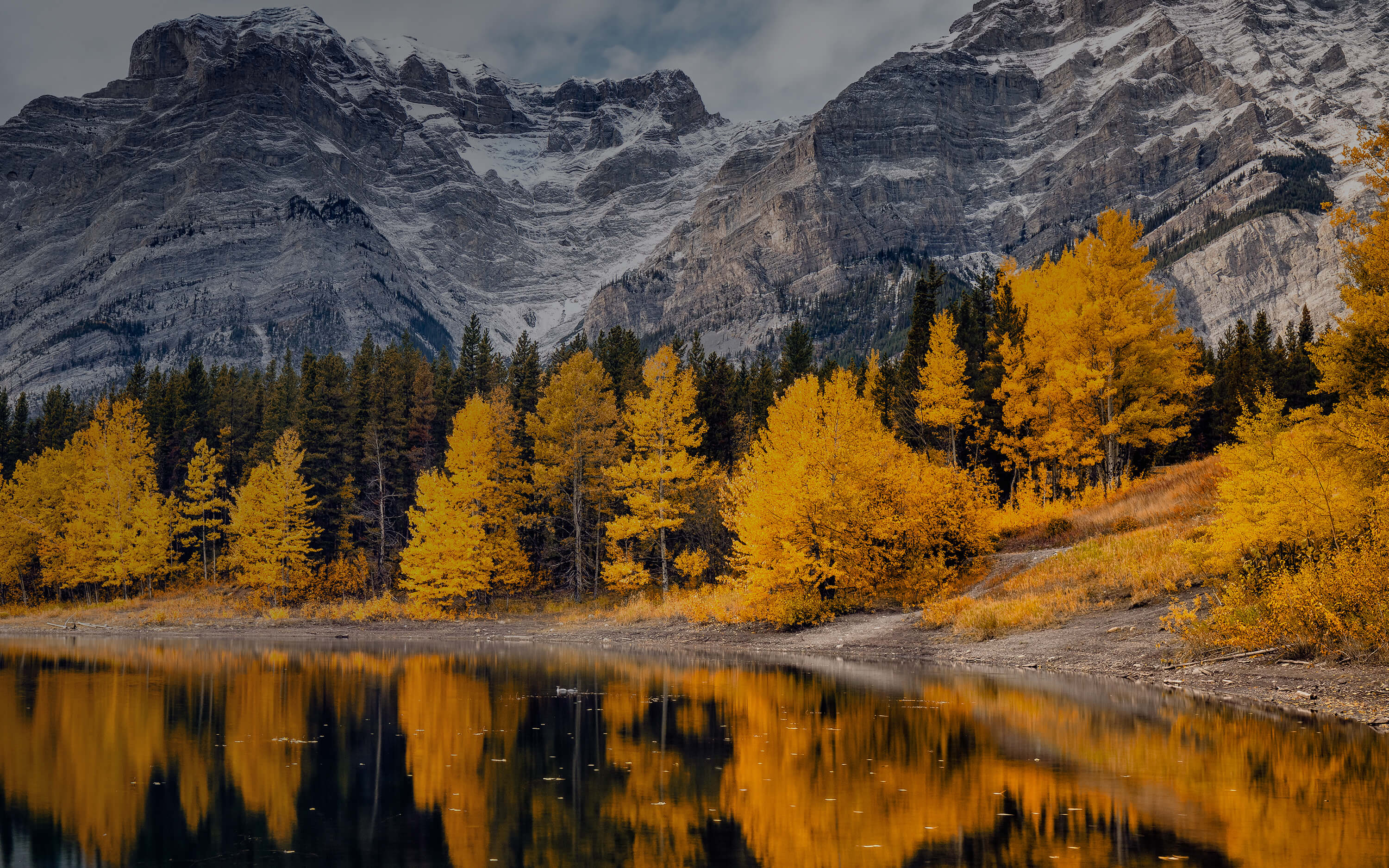 Aspen Legal internal website header