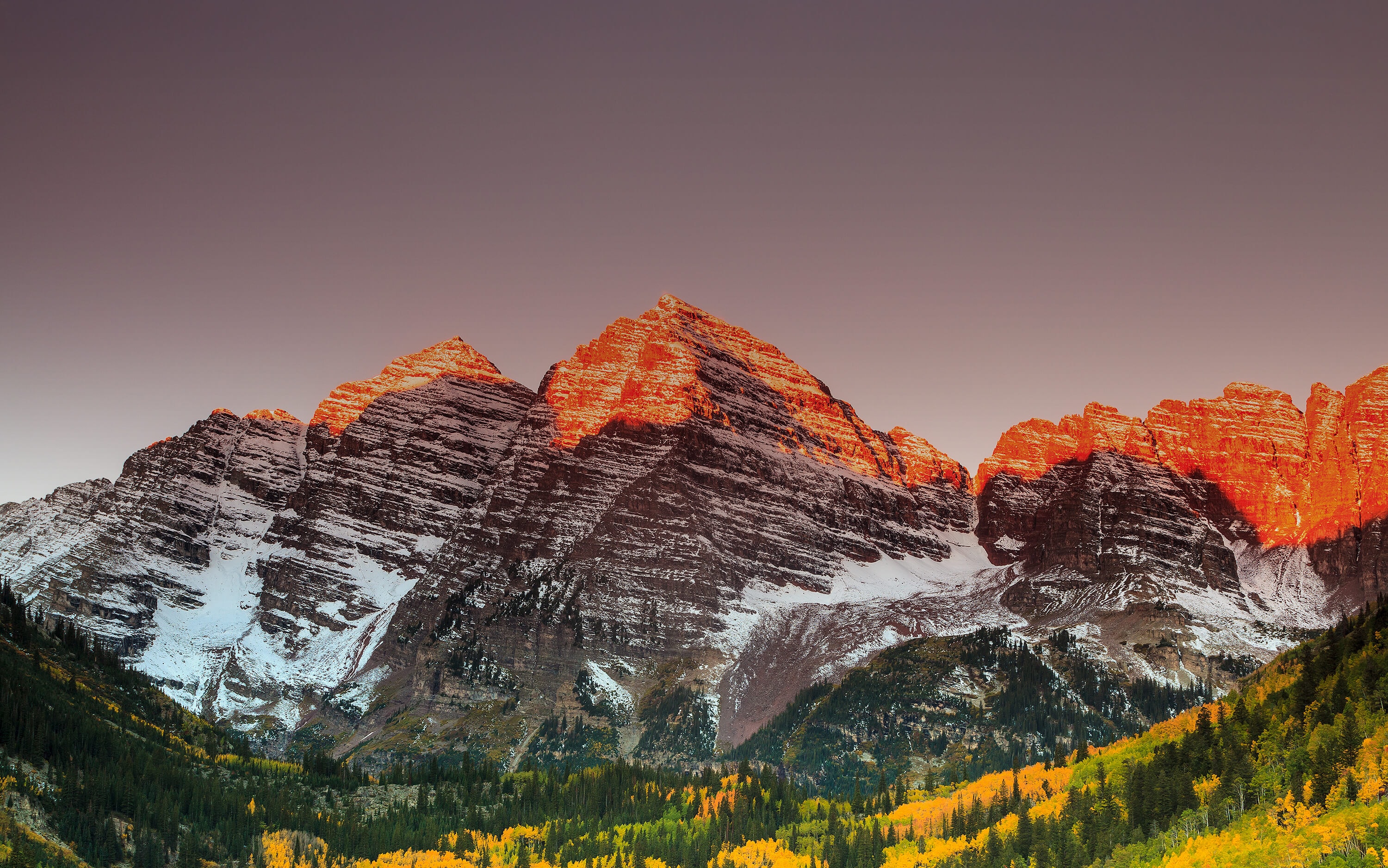 Aspen Legal internal website header