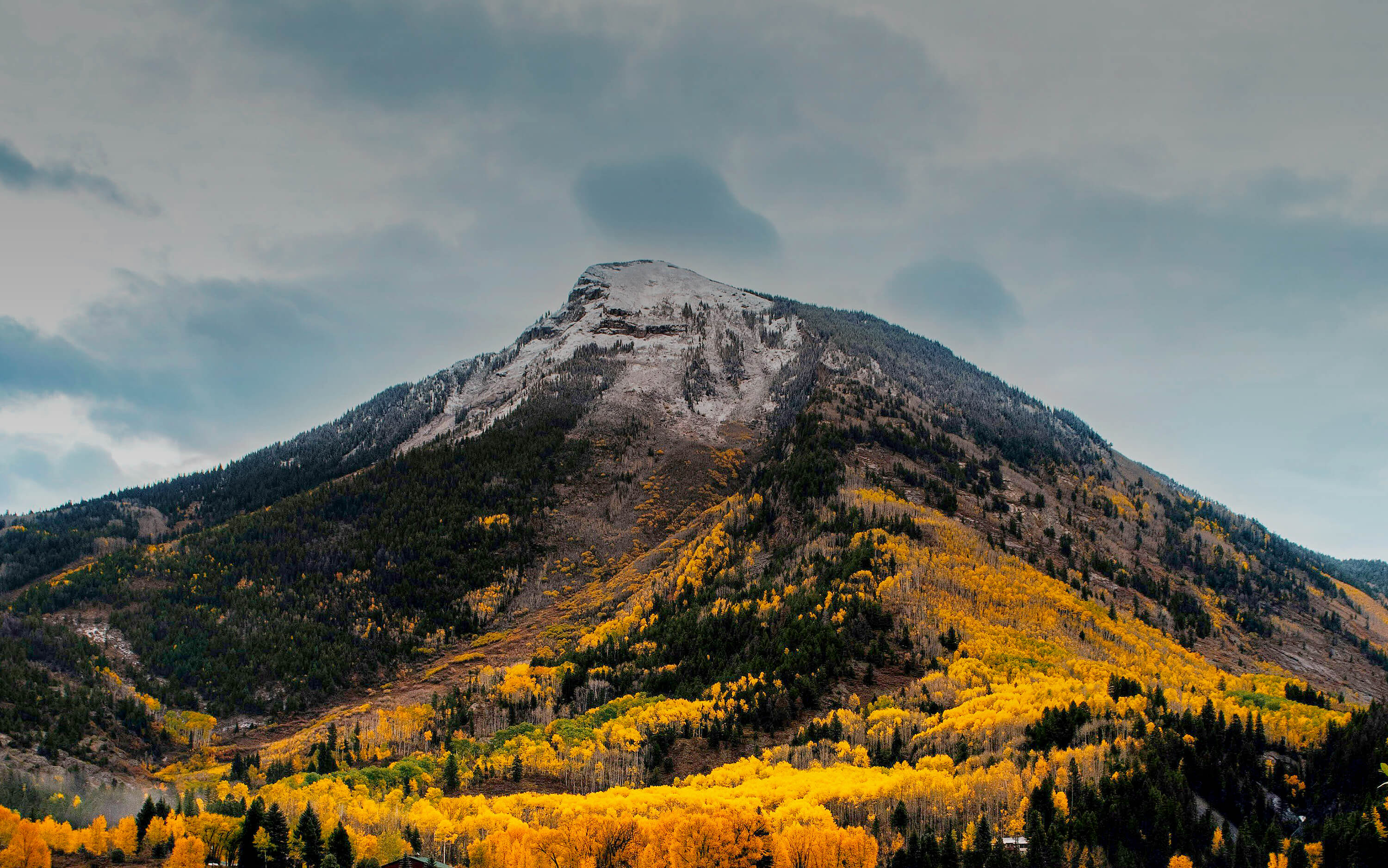 Aspen Legal internal website header