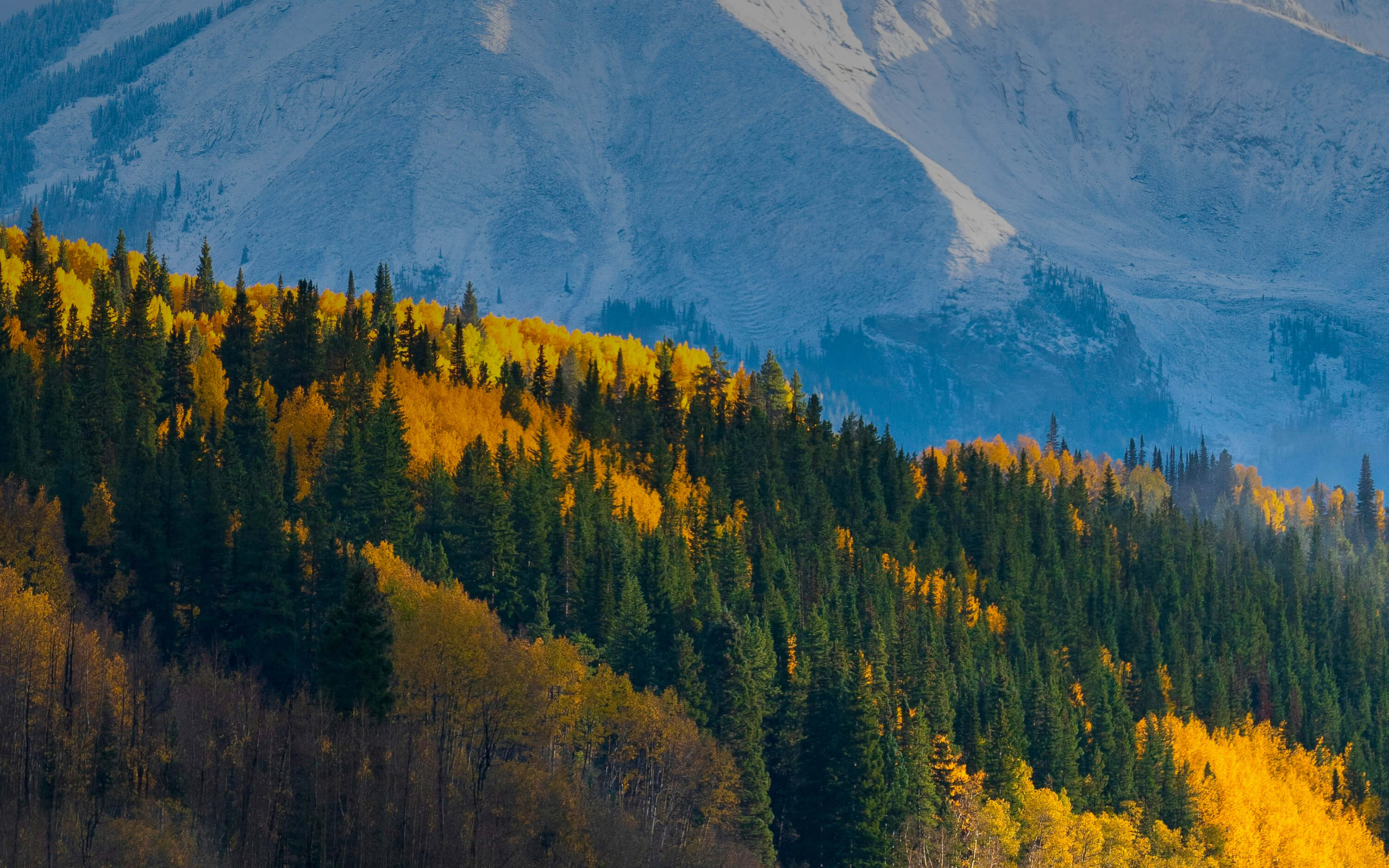 Aspen Legal internal website header