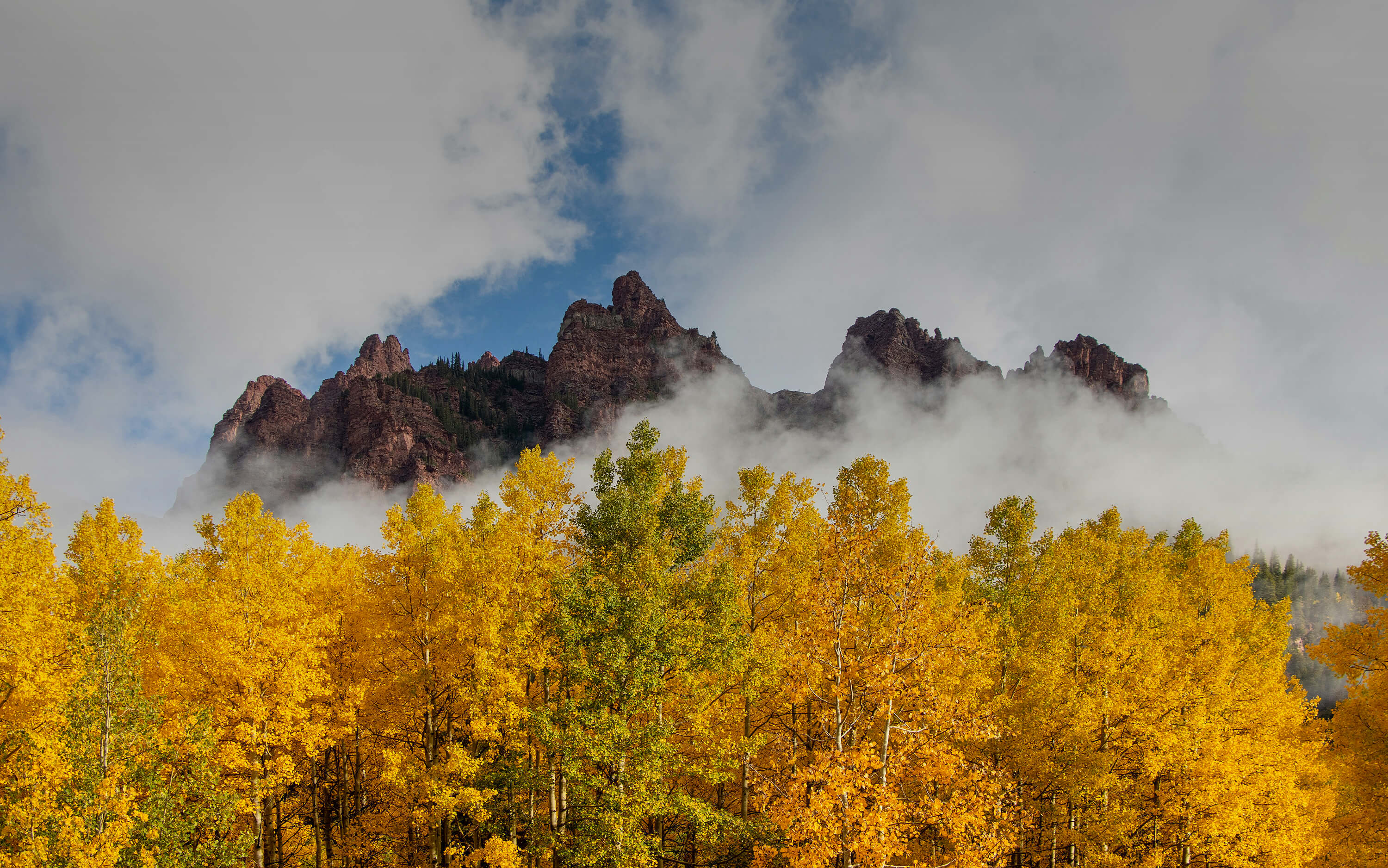 Aspen Legal internal website header