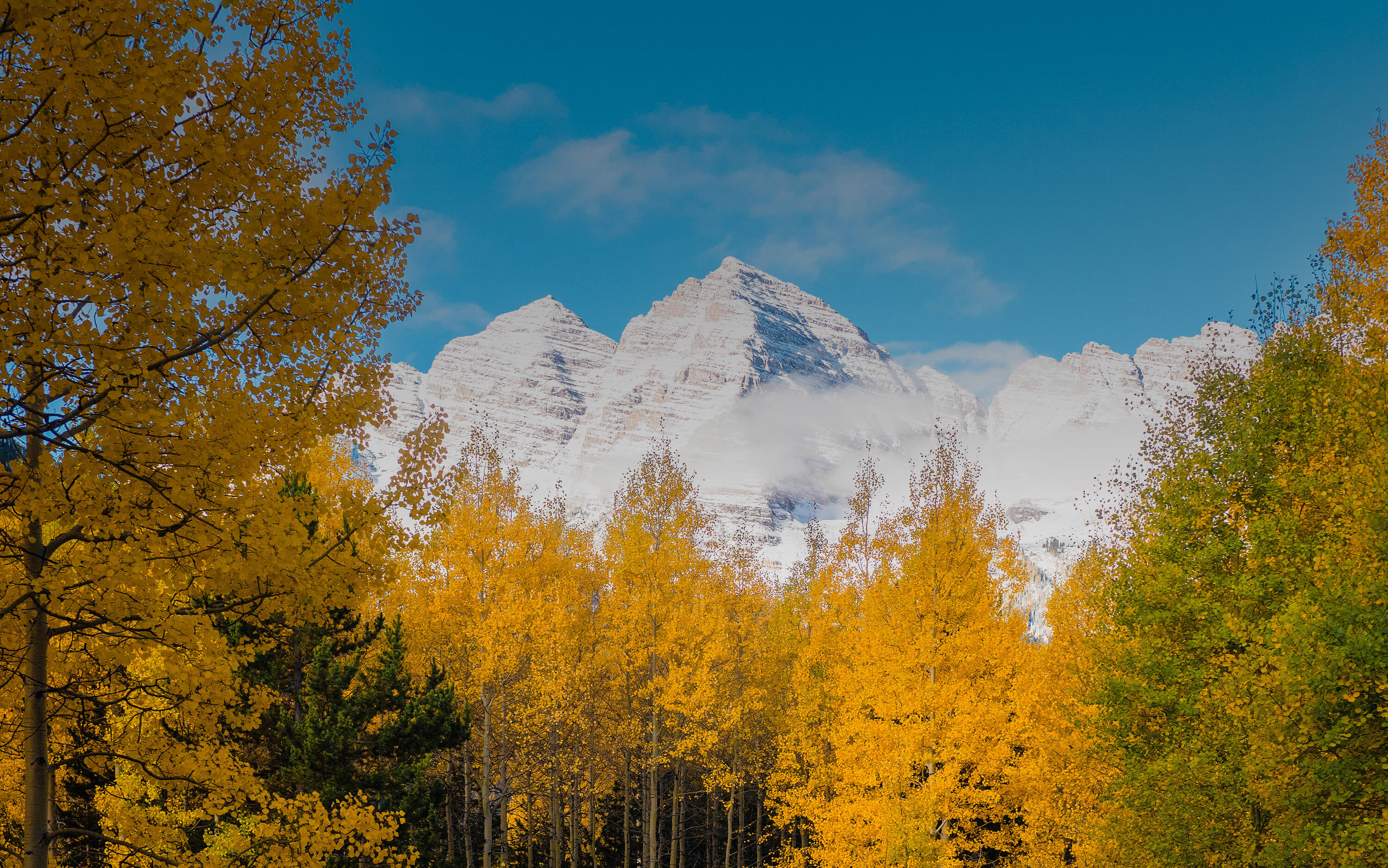 Aspen Legal internal website header