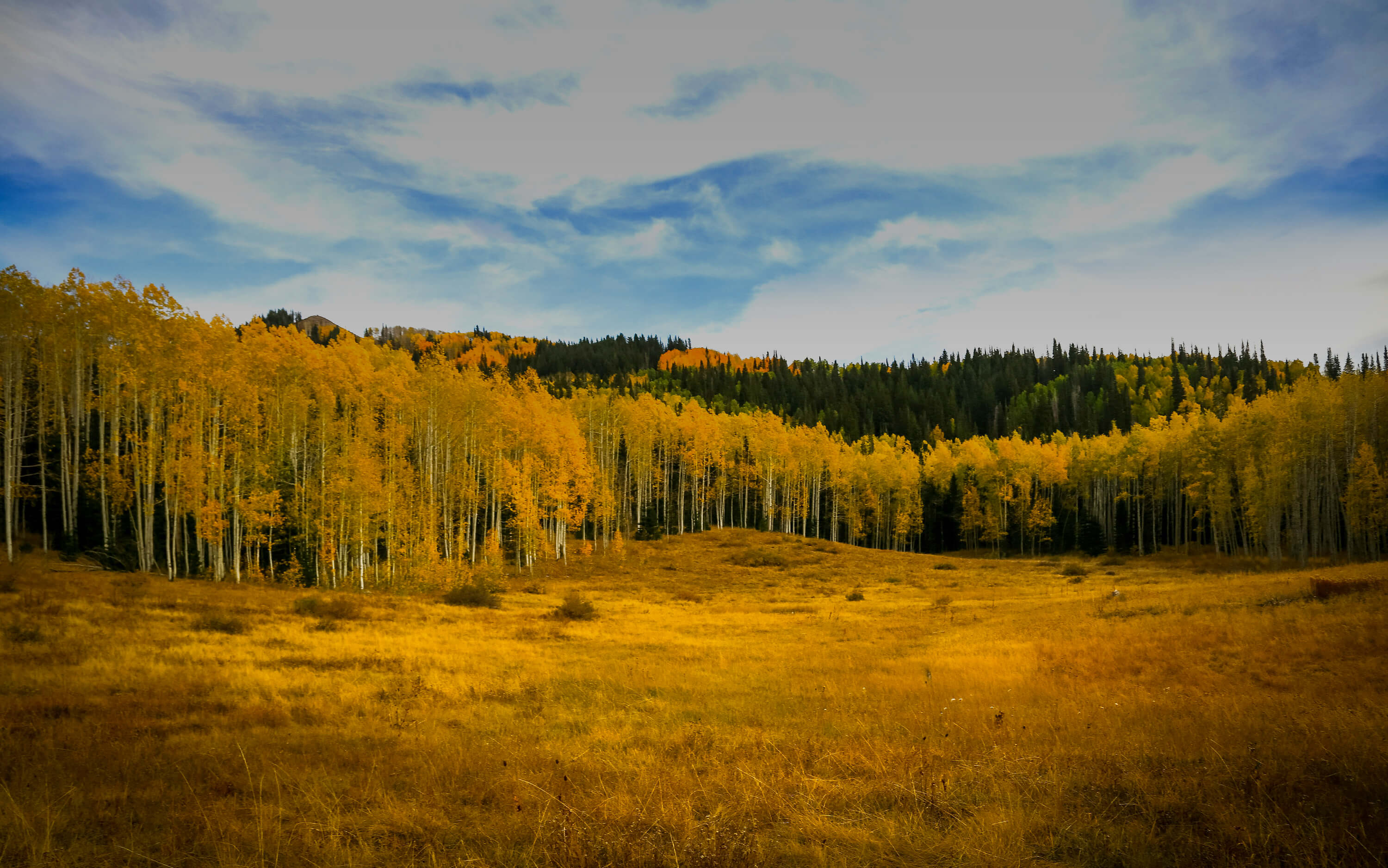 Aspen Legal internal website header