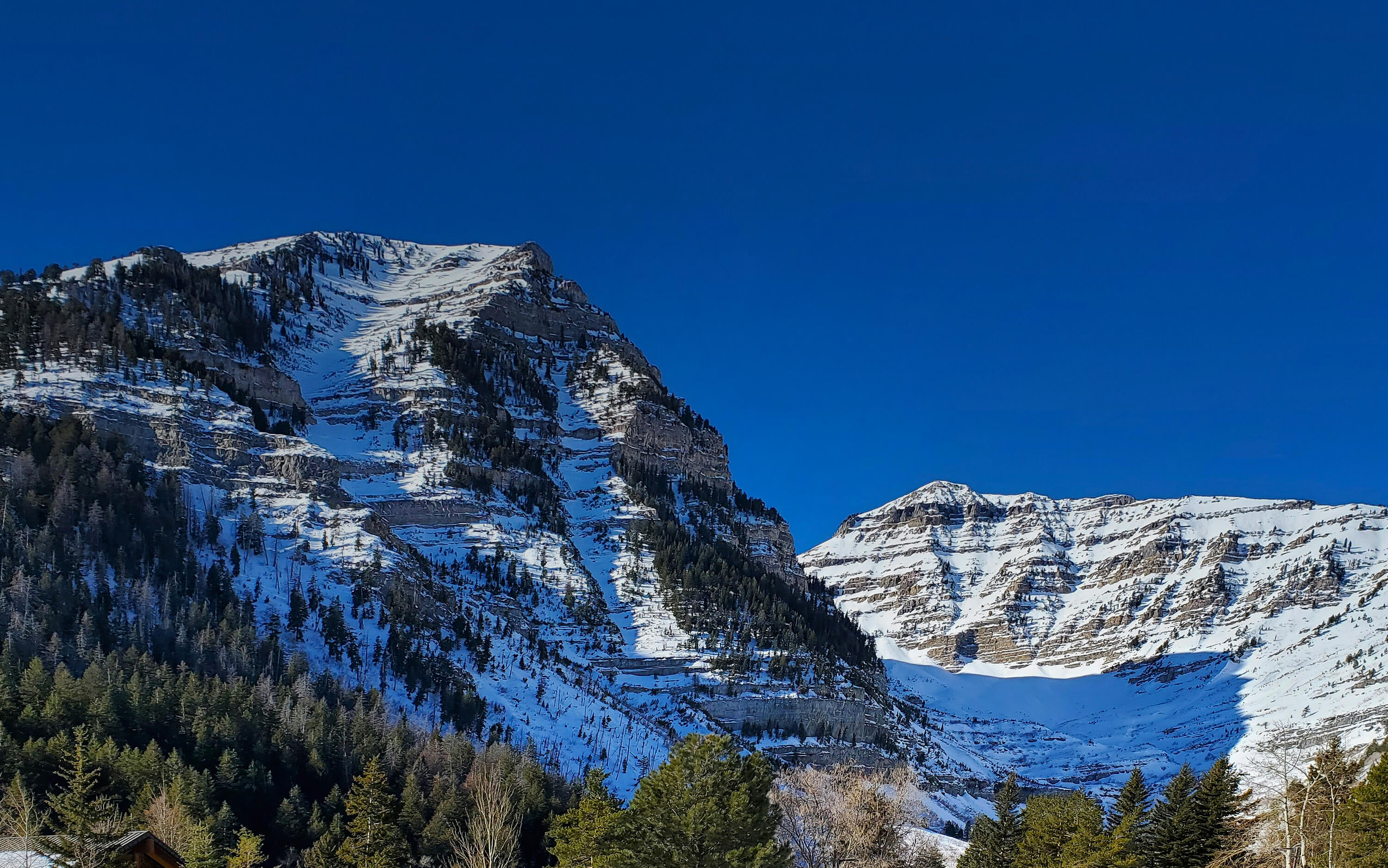 Aspen Legal internal website header