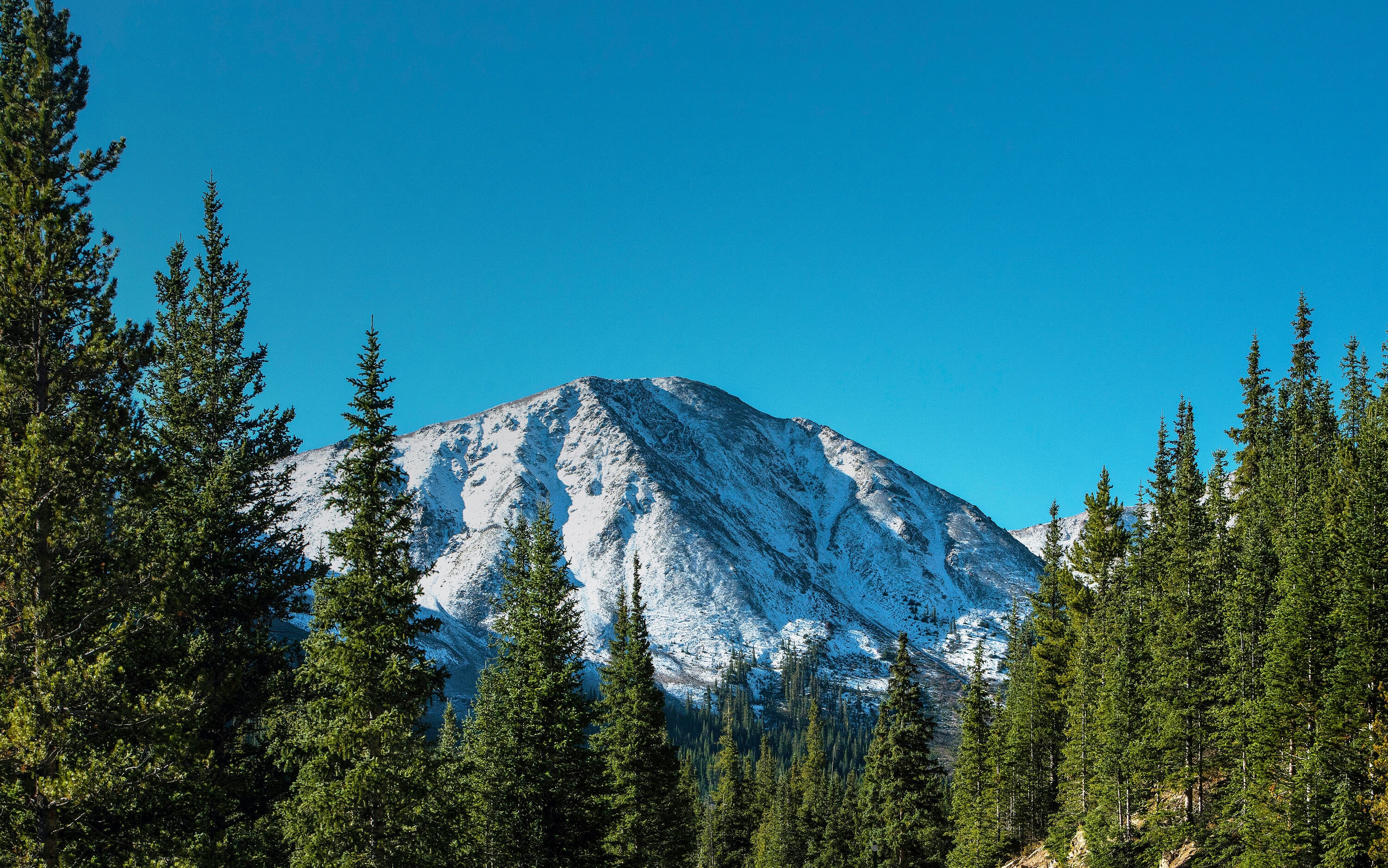 Aspen Legal internal website header