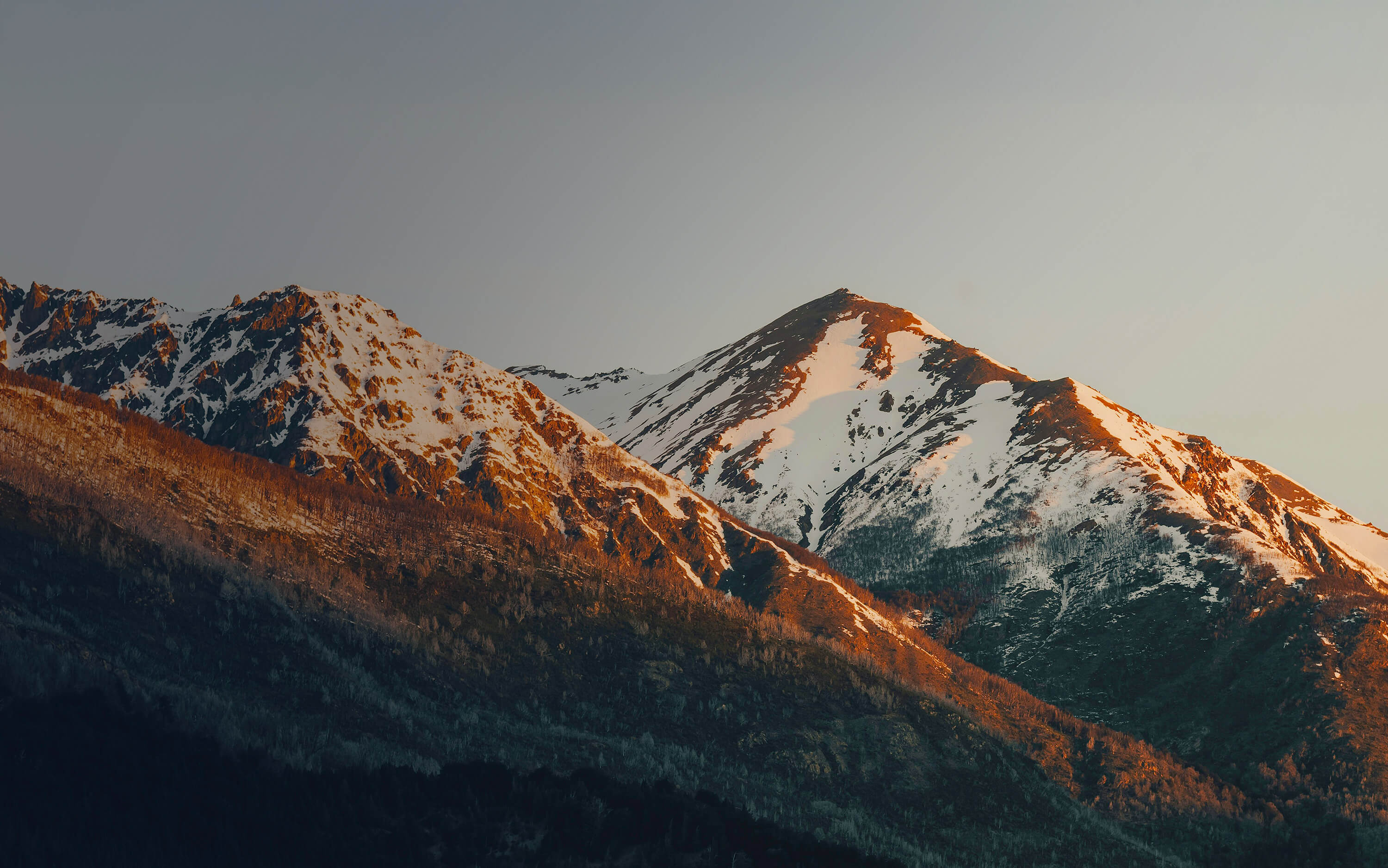 Aspen Legal website hero image